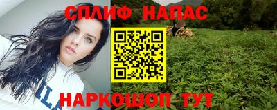 прущие грибы Нарткала