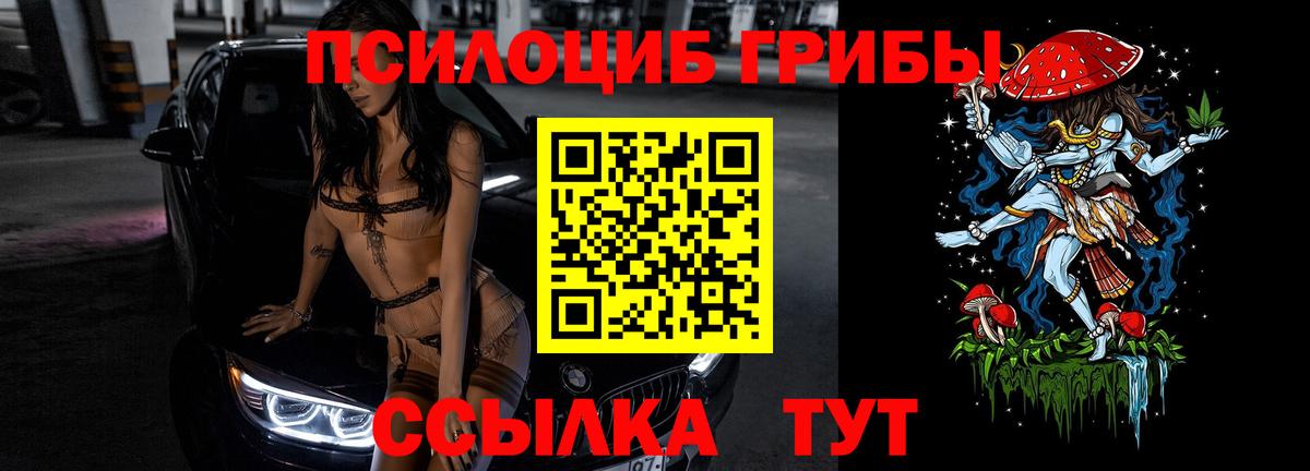 что такое   Вход с VPN  Шатура  Псилоцибиновые грибы MAGIC MUSHROOMS 